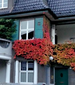 3 Büros & Preise